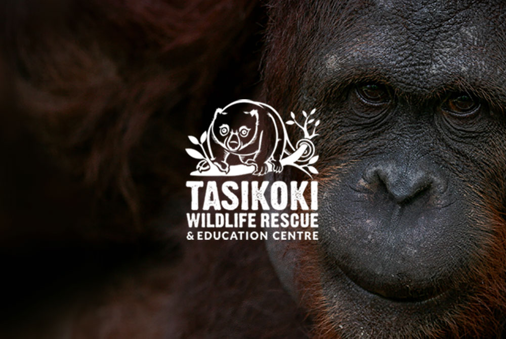 Tasikoki Wildlife Rescue Centre
